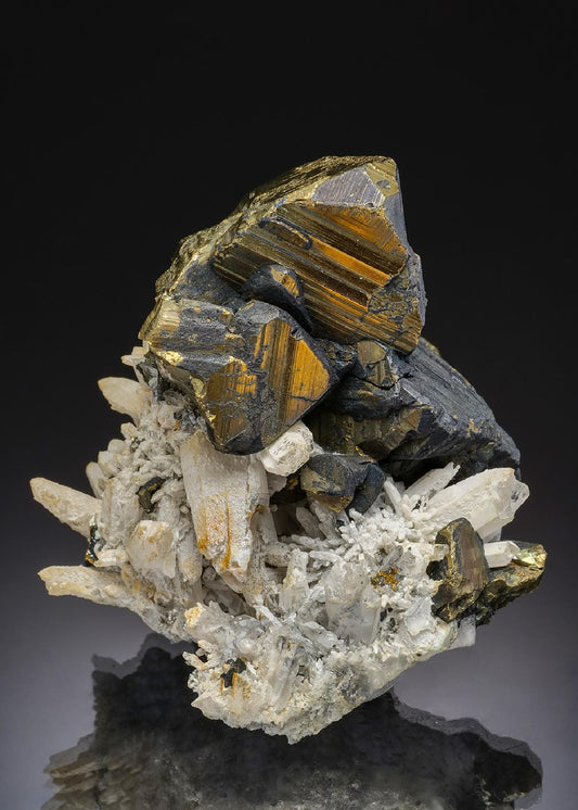 CC43198 specimen image
