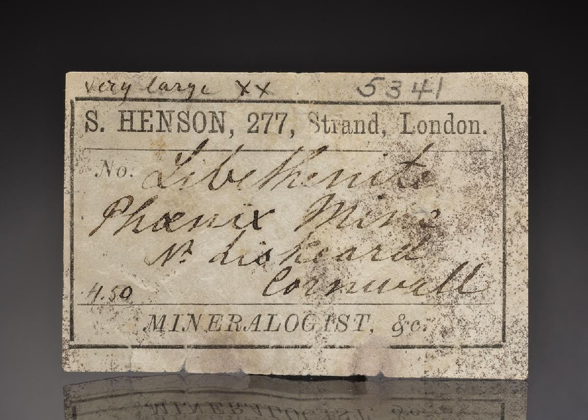 CC43202 specimen image