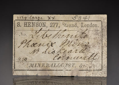 CC43202 specimen image