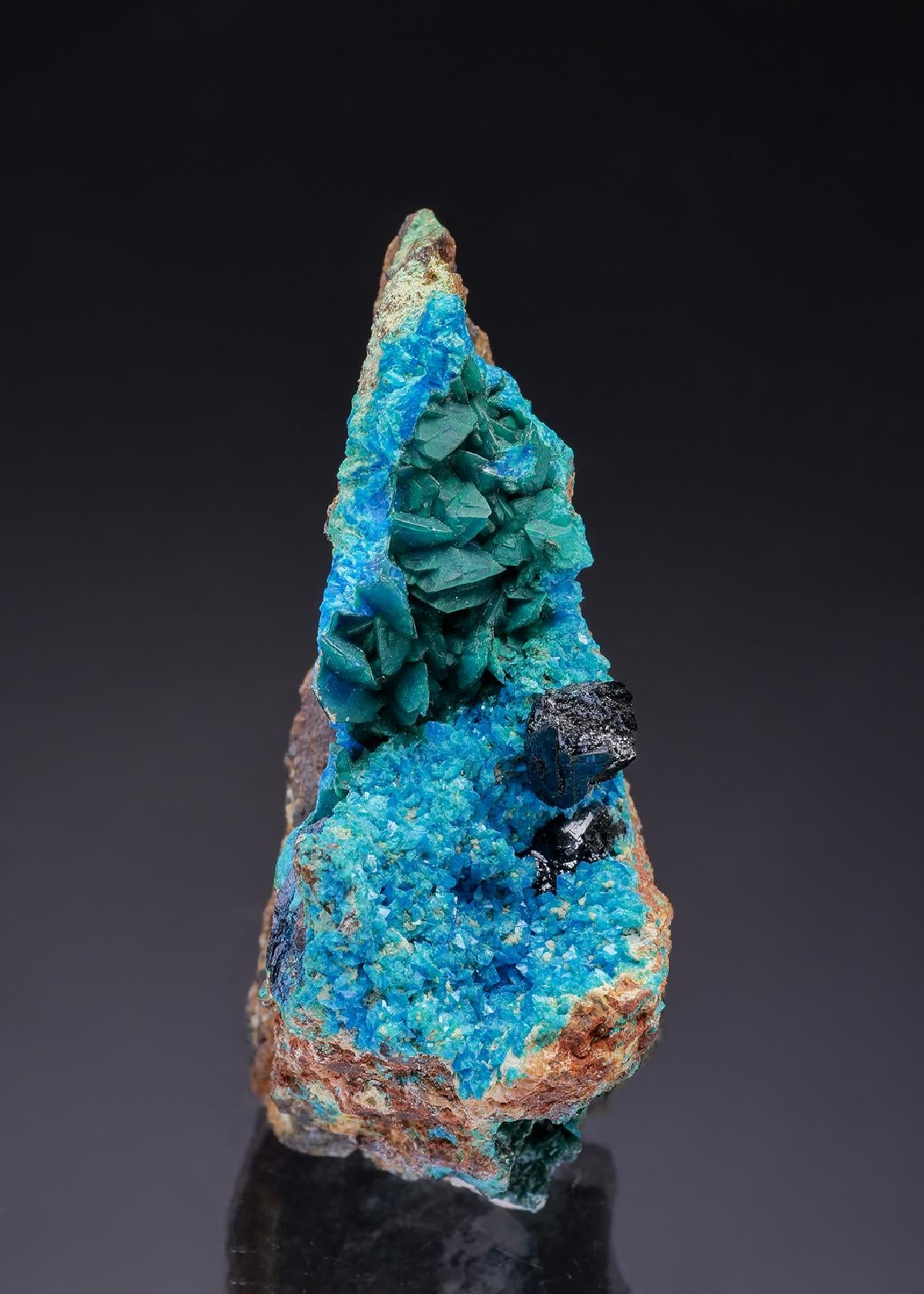 CC43224 specimen image