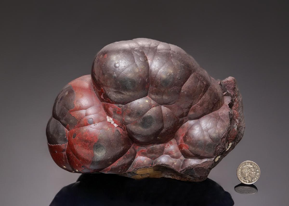 CC43268 specimen image