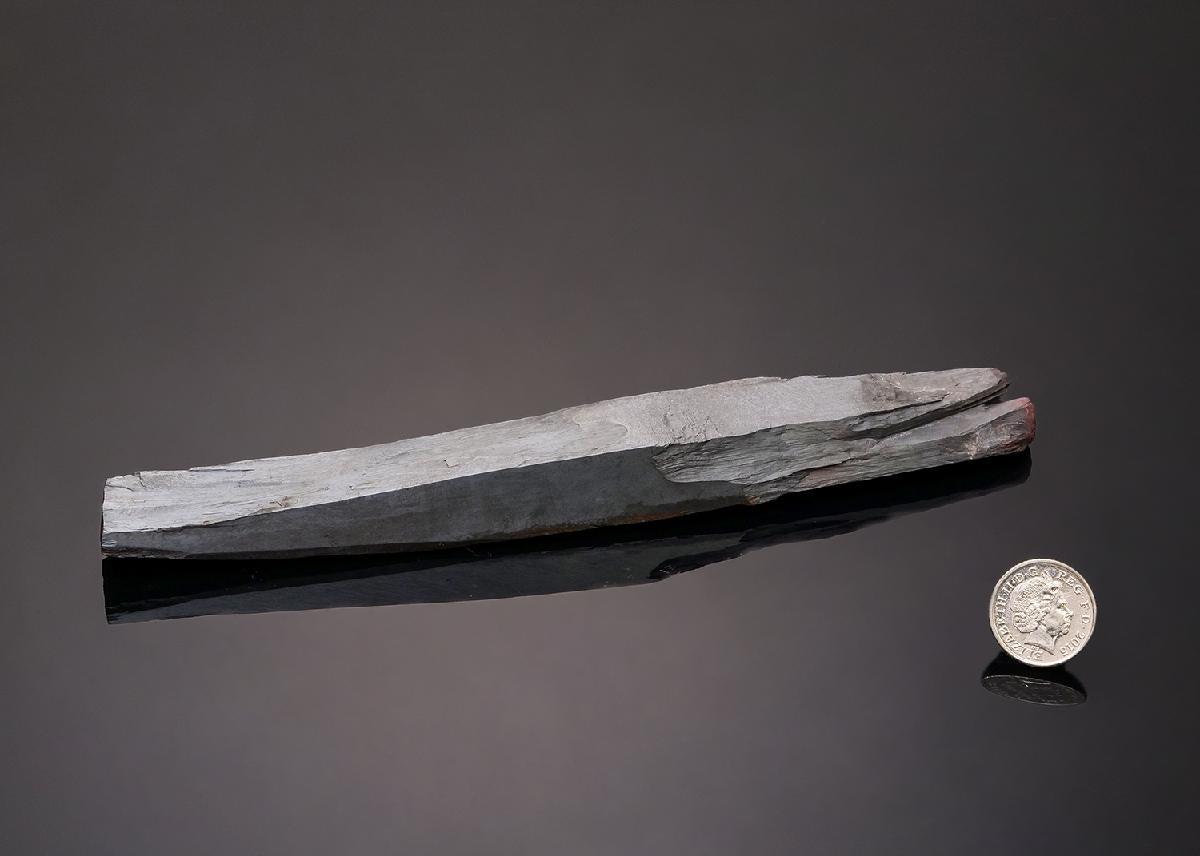 CC43270 specimen image
