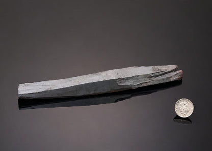 CC43270 specimen image