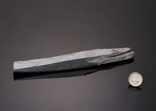CC43270 specimen image