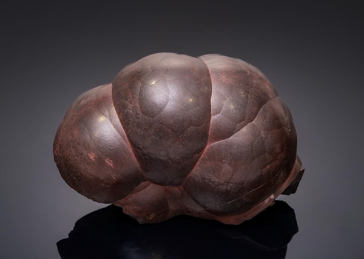 CC43292 specimen image