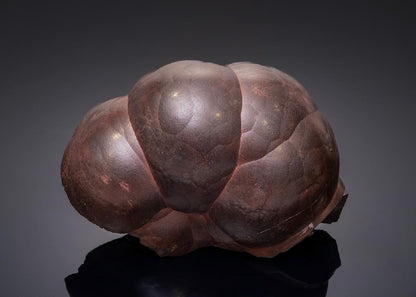 CC43292 specimen image