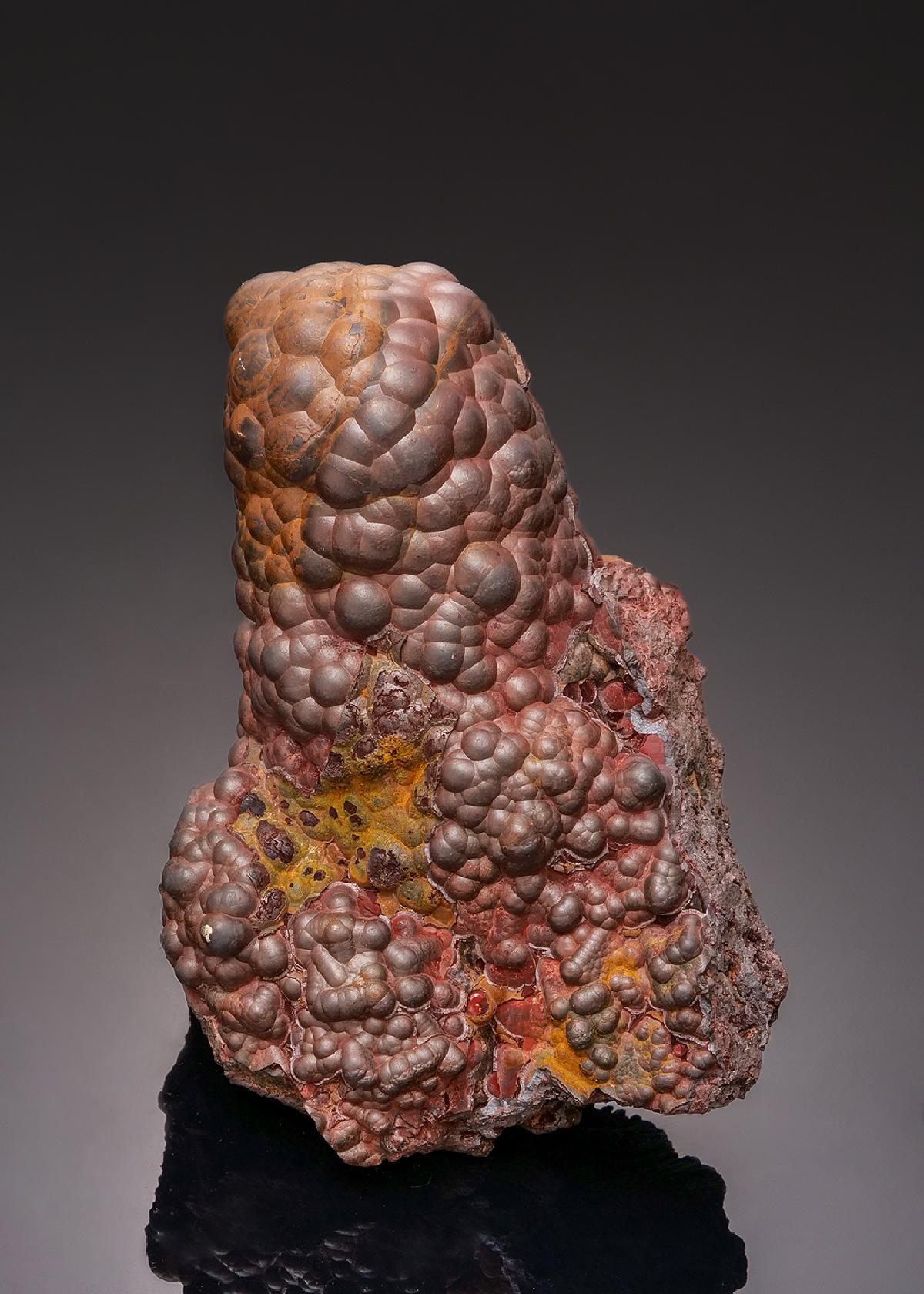 CC43296 specimen image