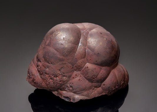CC43298 specimen image