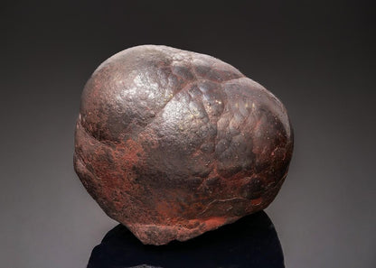 CC43300 specimen image