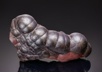 CC43308 specimen image