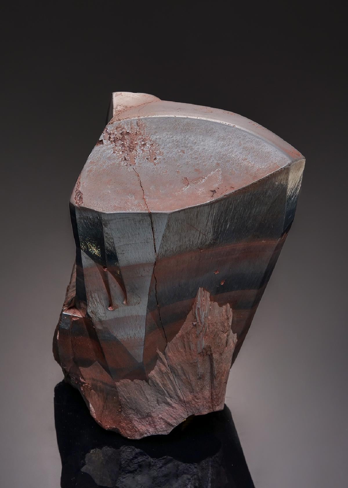 CC43316 specimen image