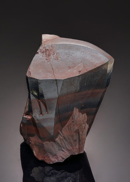 CC43316 specimen image