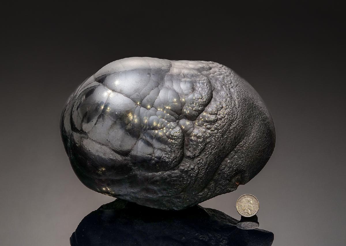 CC43322 specimen image