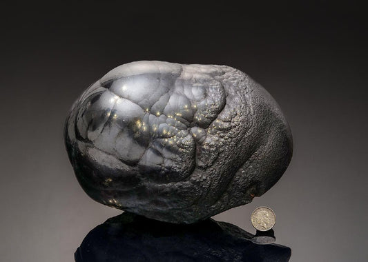 CC43322 specimen image