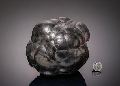 CC43328 specimen image