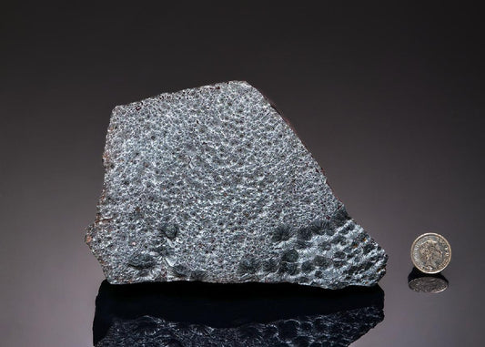 CC43330 specimen image