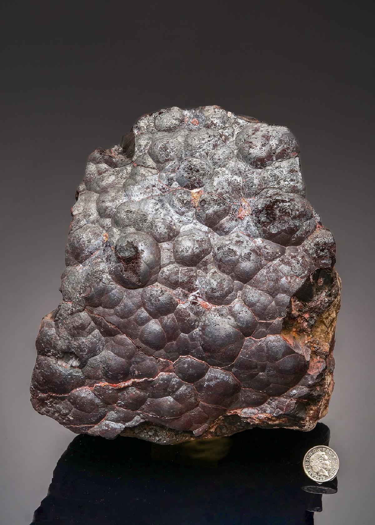 CC43332 specimen image