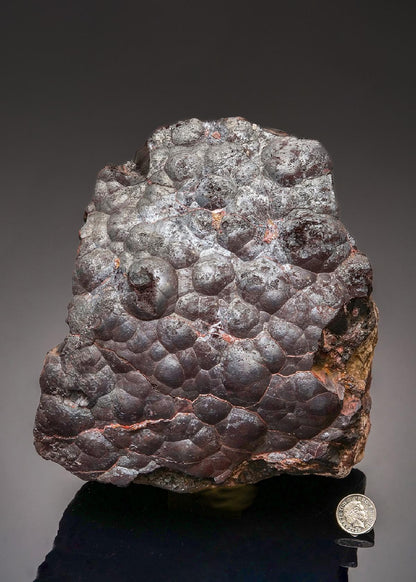 CC43332 specimen image