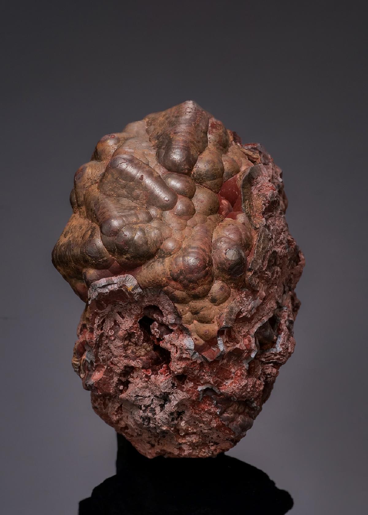 CC43418 specimen image