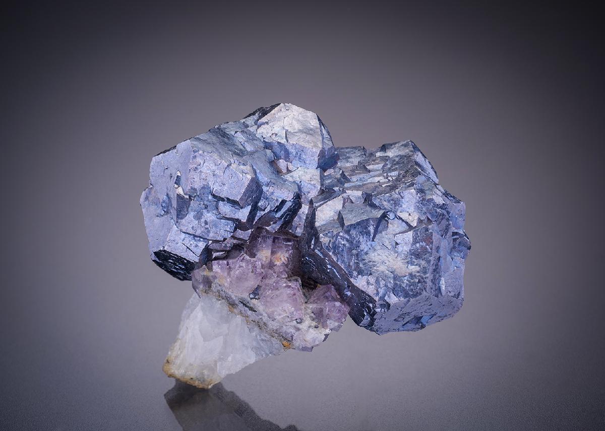 CC4346 specimen image