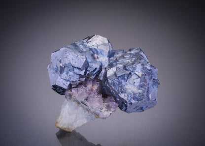 CC4346 specimen image