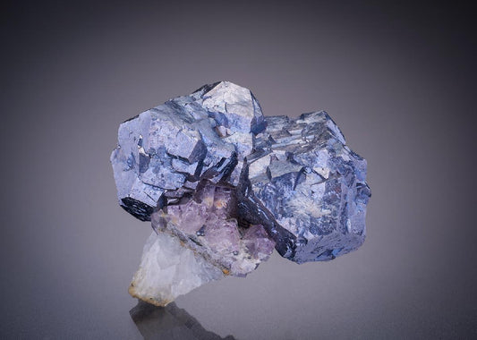 CC4346 specimen image