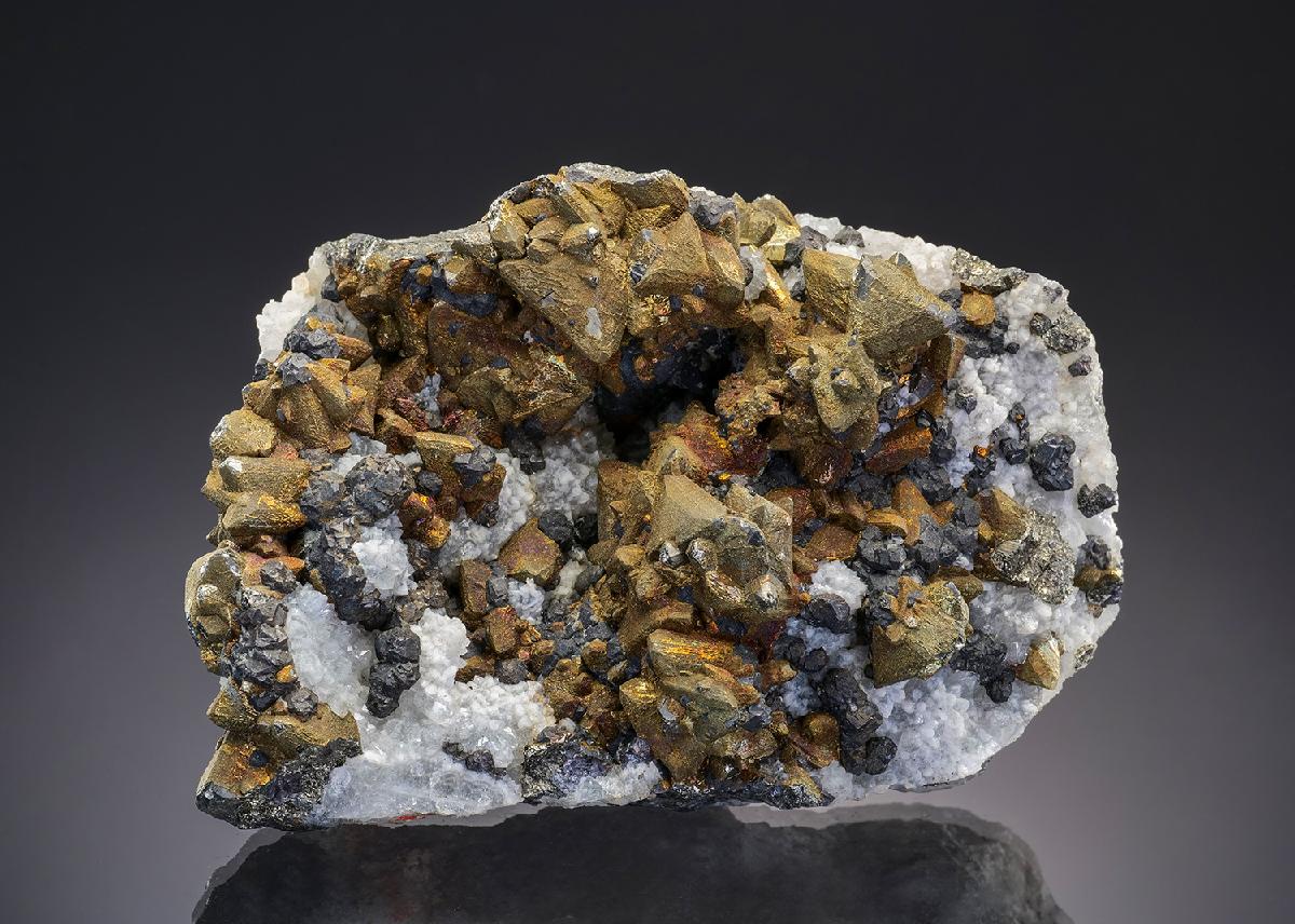 CC43486 specimen image