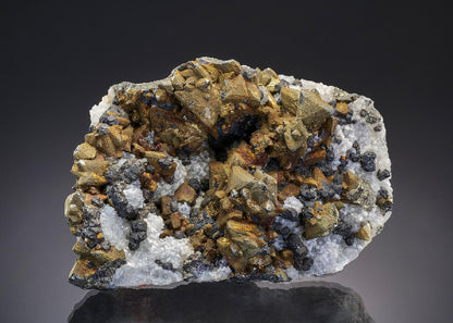 CC43486 specimen image
