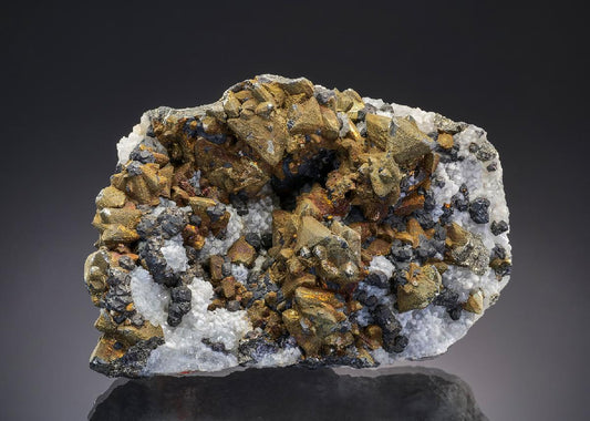 CC43486 specimen image