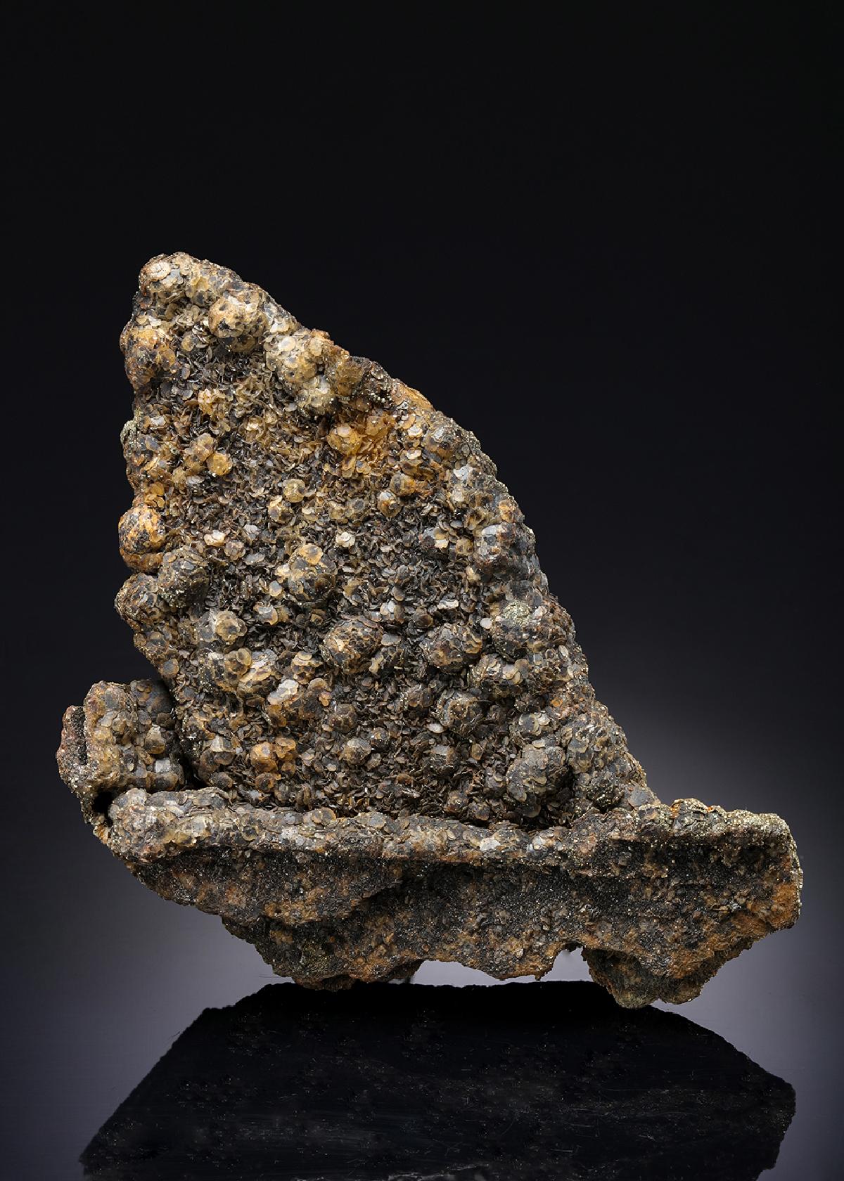 CC43488 specimen image