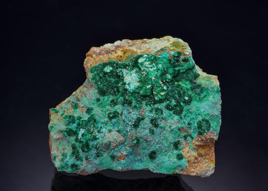 CC43500 specimen image