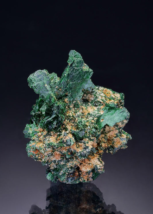 CC43502 specimen image