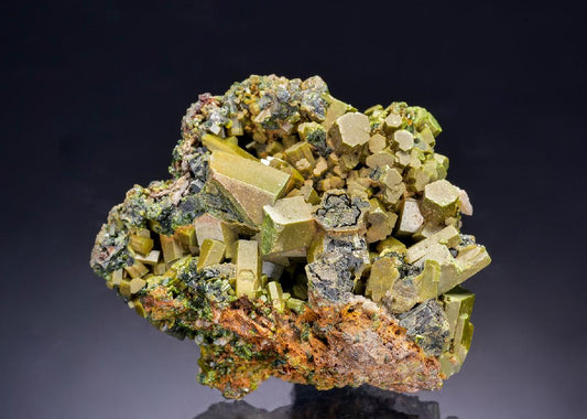 CC43508 specimen image