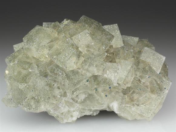 CC4352 specimen image