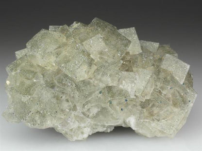 CC4352 specimen image