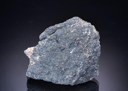 CC43522 specimen image