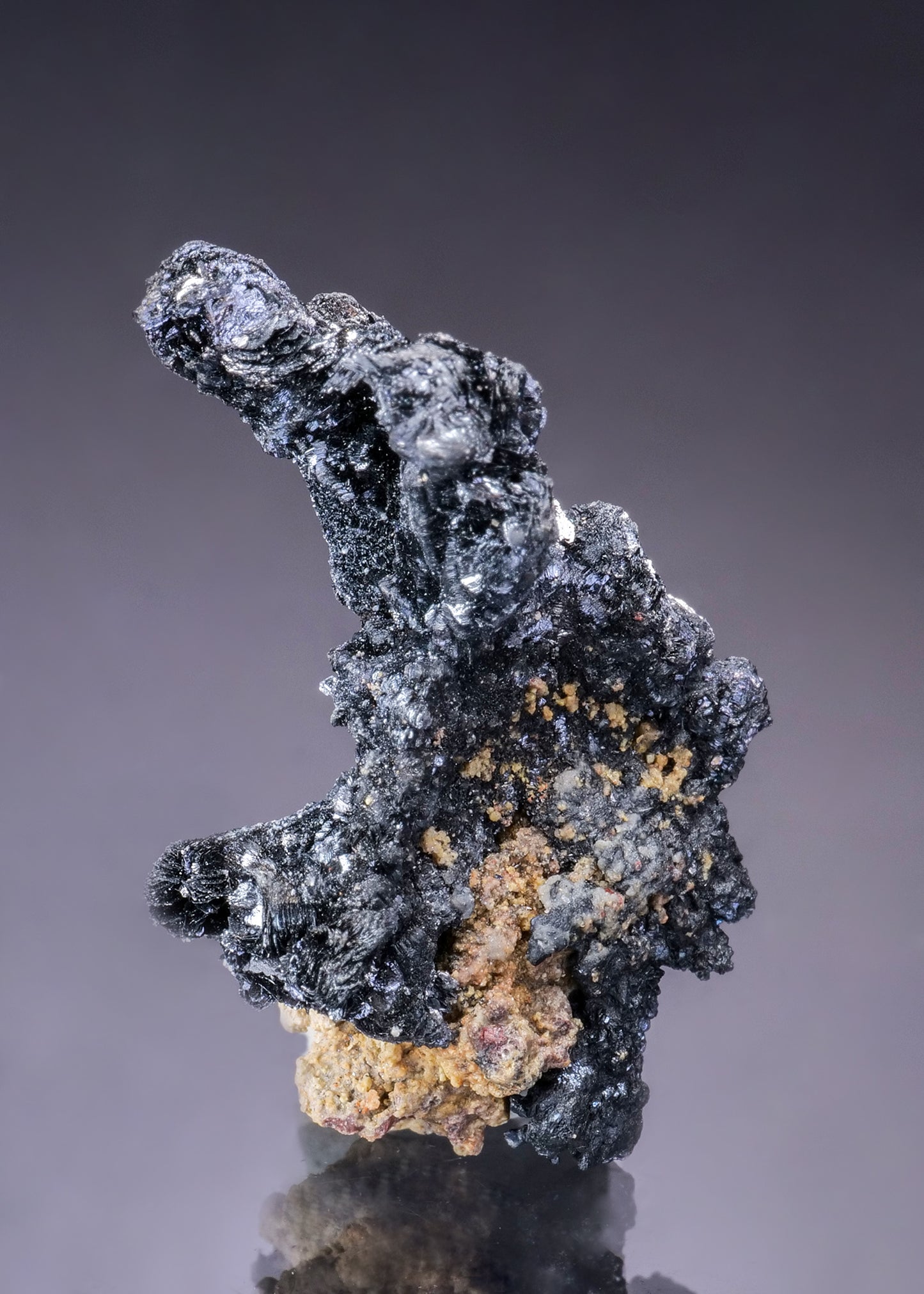 TENORITE