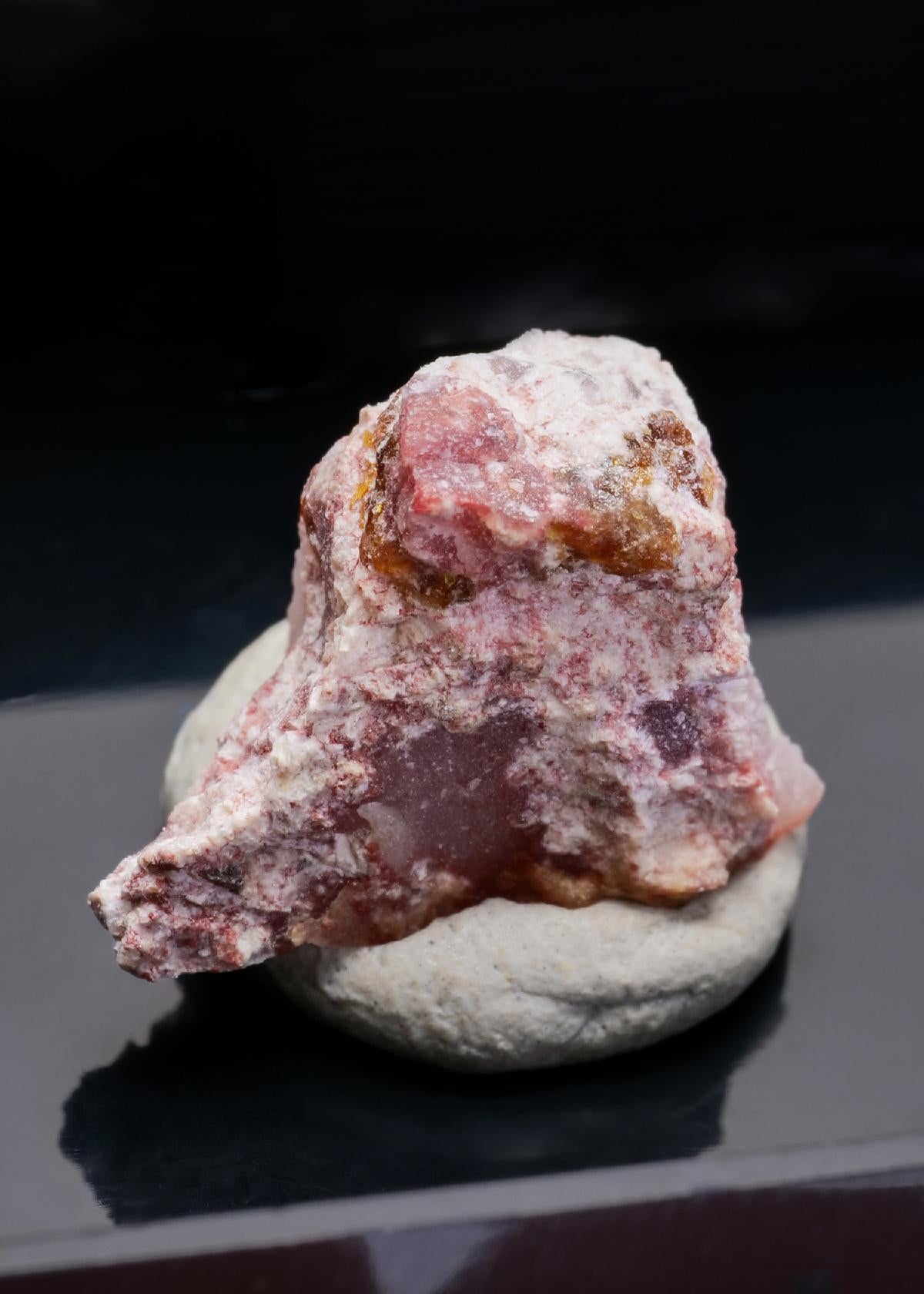 CC43534 specimen image