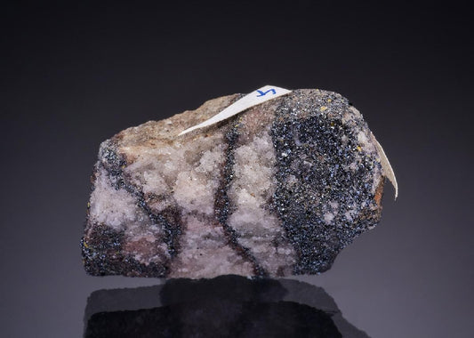 CC43540 specimen image