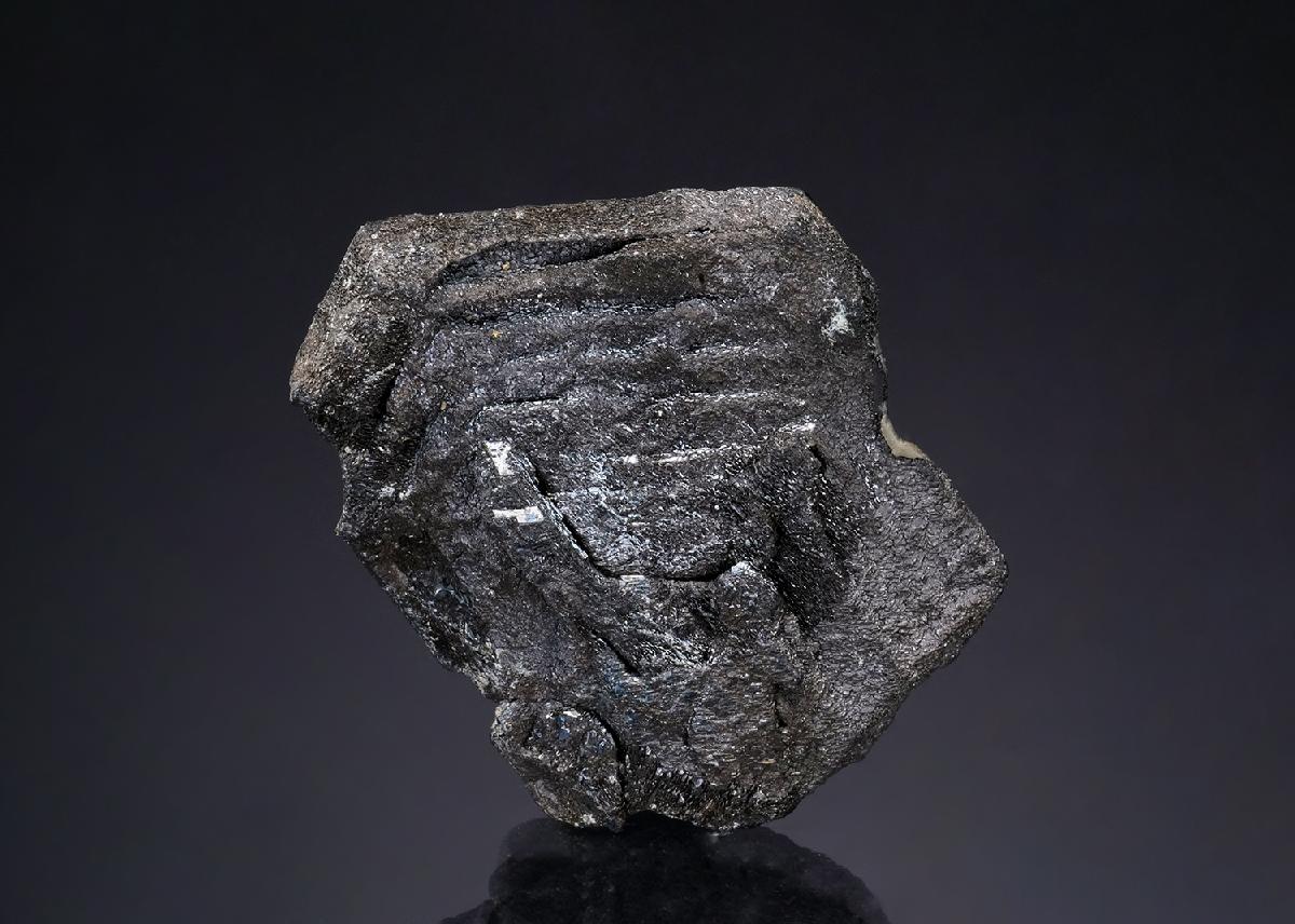 CC43548 specimen image