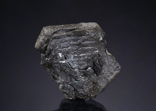 CC43548 specimen image