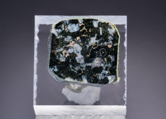 CC43566 specimen image