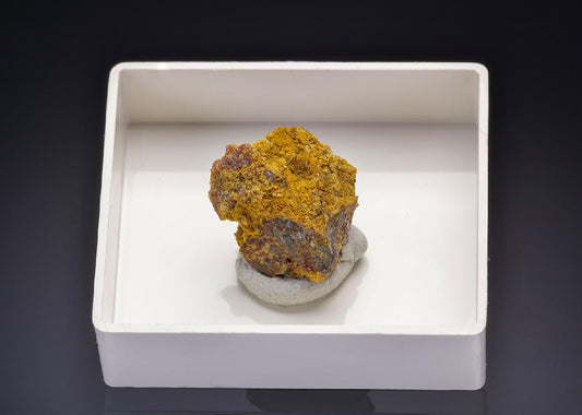 CC43572 specimen image