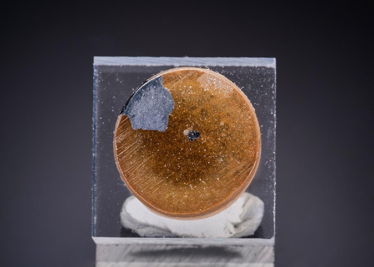 CC43634 specimen image