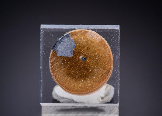 CC43634 specimen image