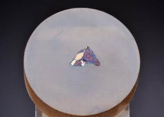 CC43648 specimen image