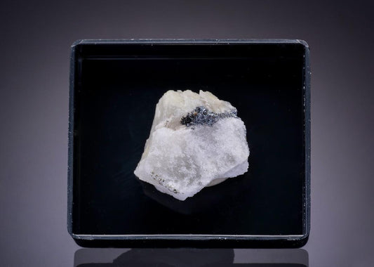 CC43662 specimen image