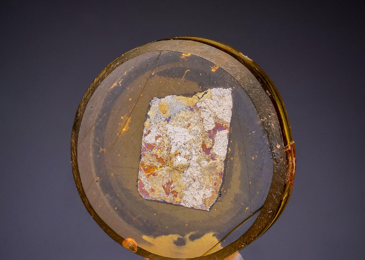 CC43666 specimen image