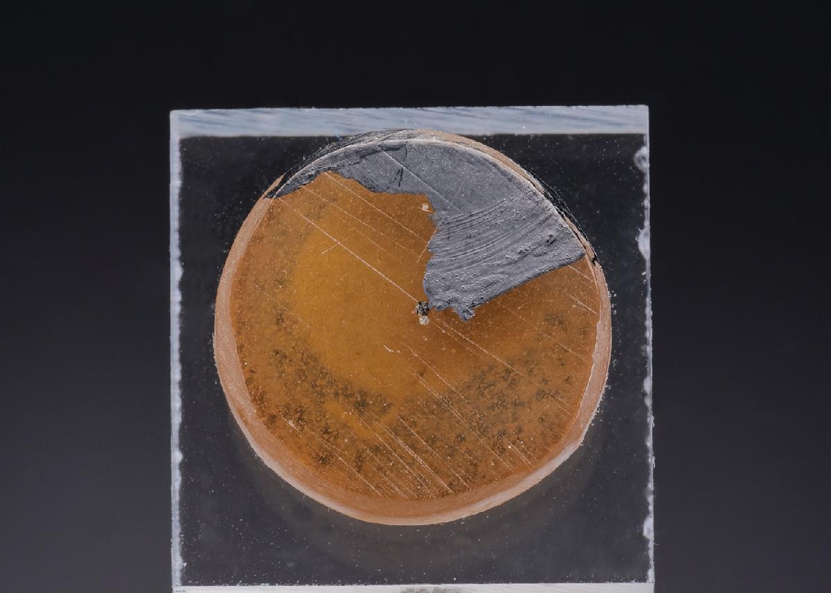 CC43674 specimen image