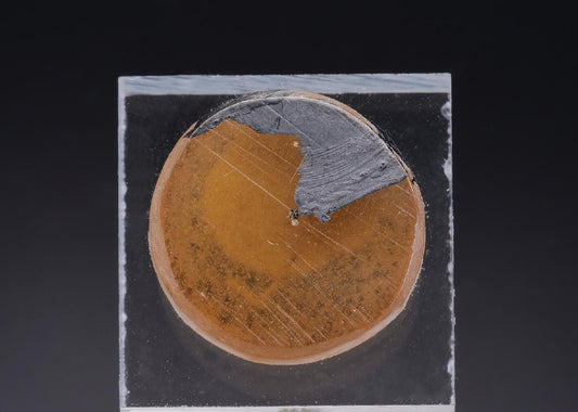 CC43674 specimen image